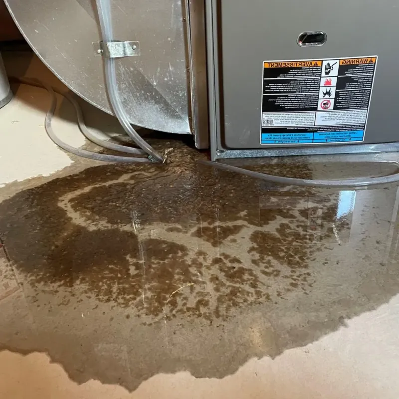 Pipe Burst and Leak Restoration in San Miguel, NM